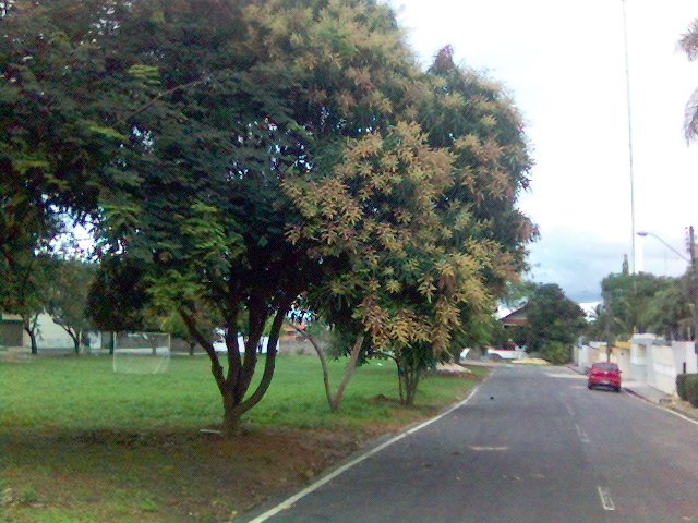 Rua Tabatinga Bairro Calhau by rafapsilva