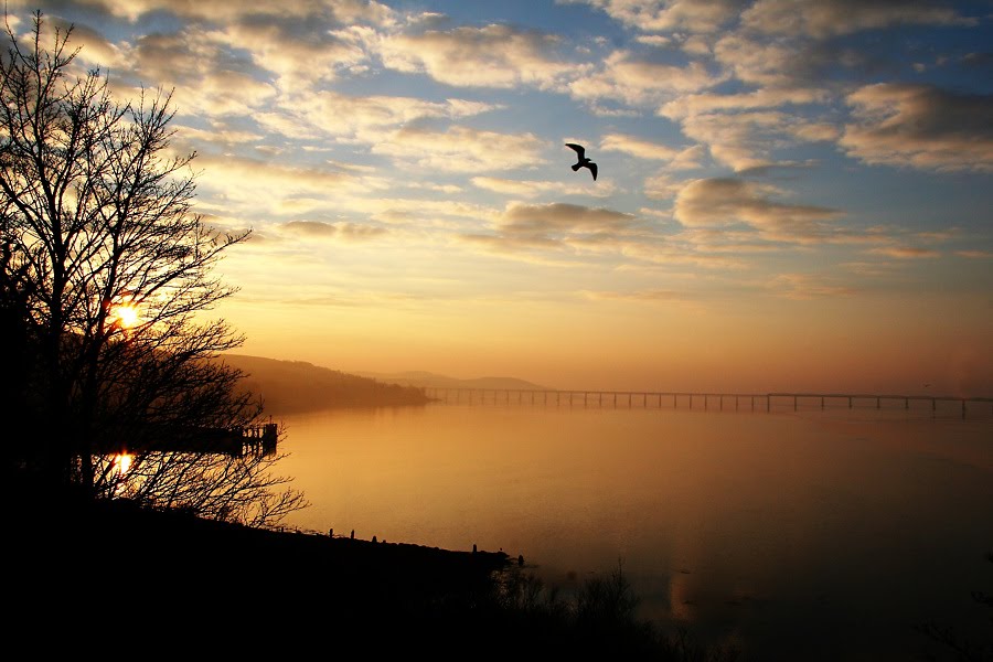 Sunset in Newport by Tracey Dixon