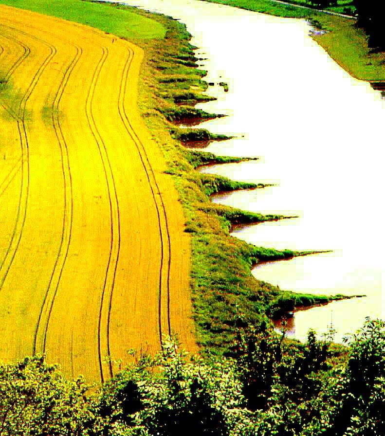 Weser bei Fürstenberg - Landschaftskünstler am Werk! by Franz Schiffers