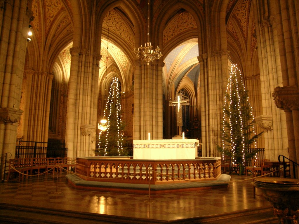 Domkyrkan during Christmas by Thomas Kehlenbeck