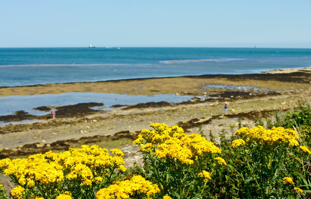 View from the cliff top, Bembridge, Isle of Wight by Chuckels