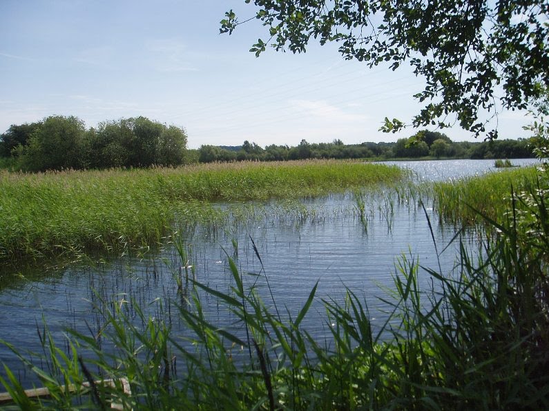 Messingham Nature Reserve Summer 2011 by mel54