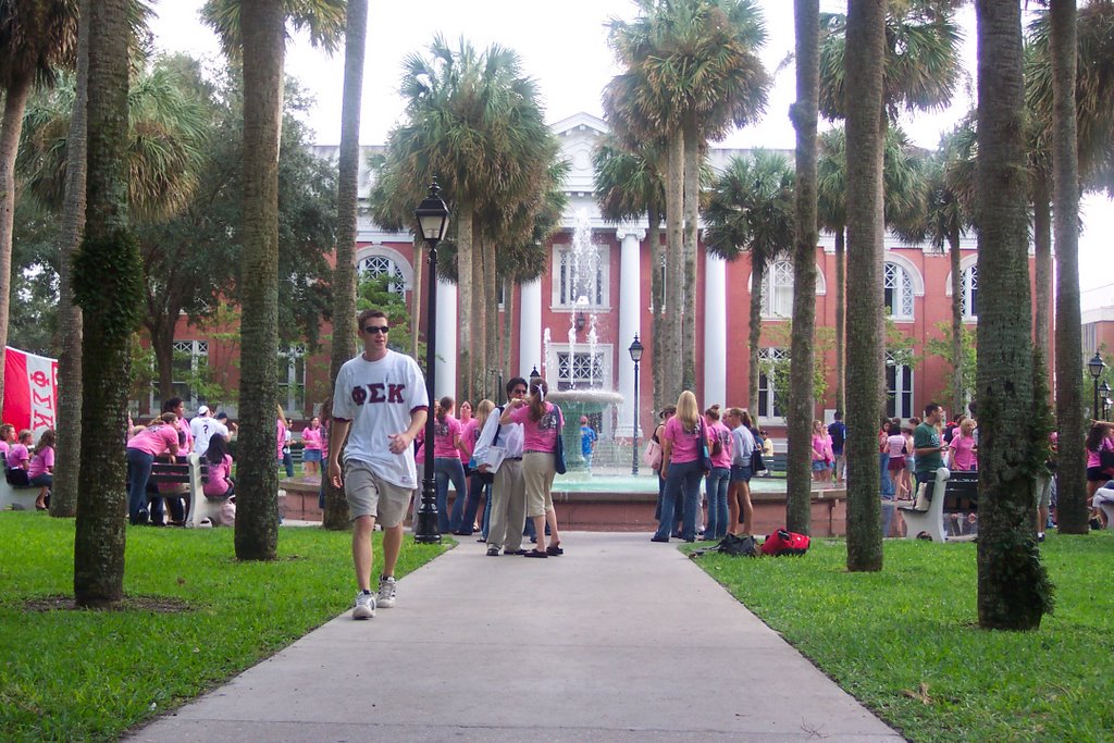 Stetson University Quad by cme884