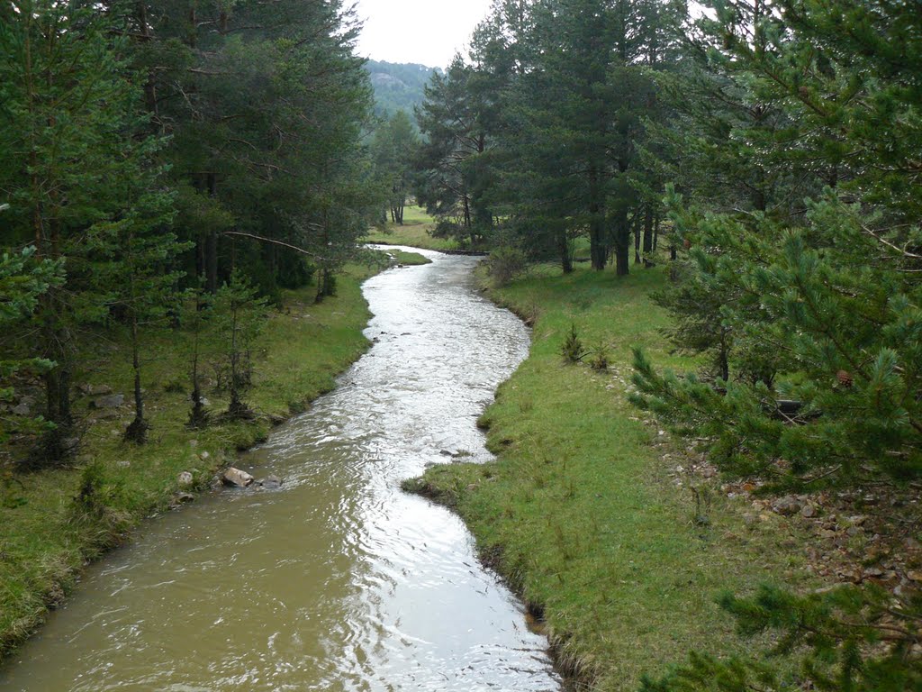 Río de la Hoz Seca (Oceseca). Orea (Guadalajara). Abr./2011 by Román Rojo