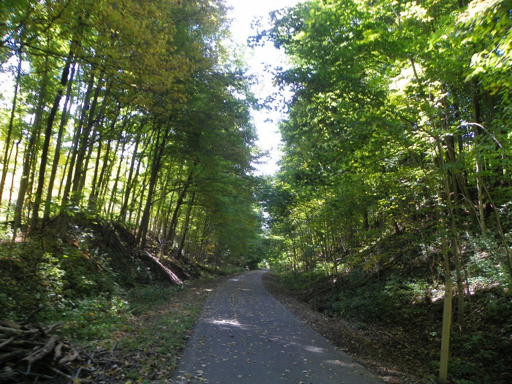 Nickle Plate Rail Trail by MikeFromholt