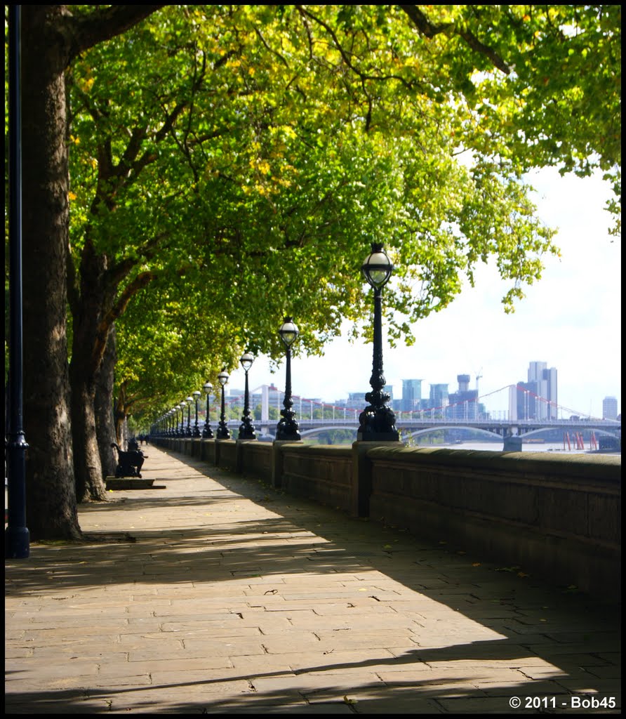 Londres - Berges de la Tamise (Chelsea Embankment) by Bob45