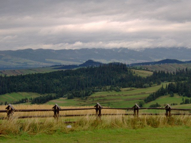 Czarna Góra (Black Hill) near Zakopane (view on the Tatra Mountains) by piotr tamowicz