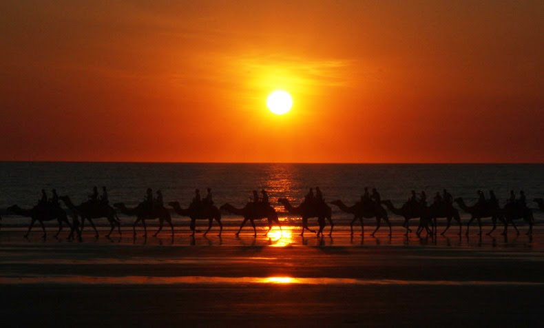 Camel Train on Cable Beach, Broome by Marbiz