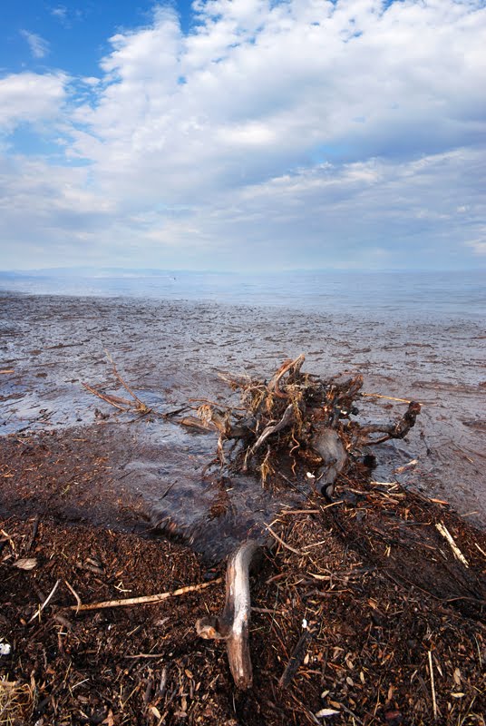 After the Storm on Fokea Beach by Marek Koszorek www.wild-art.eu