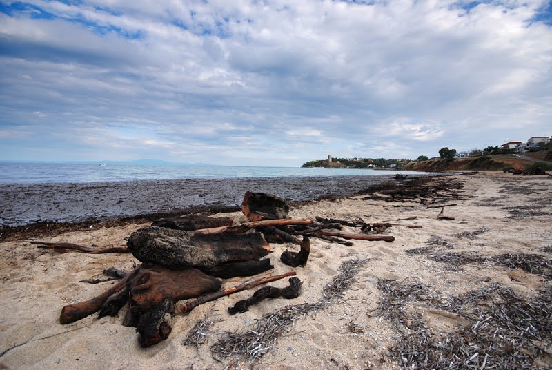 Nea Fokea Beach after Storm by Marek Koszorek www.wild-art.eu