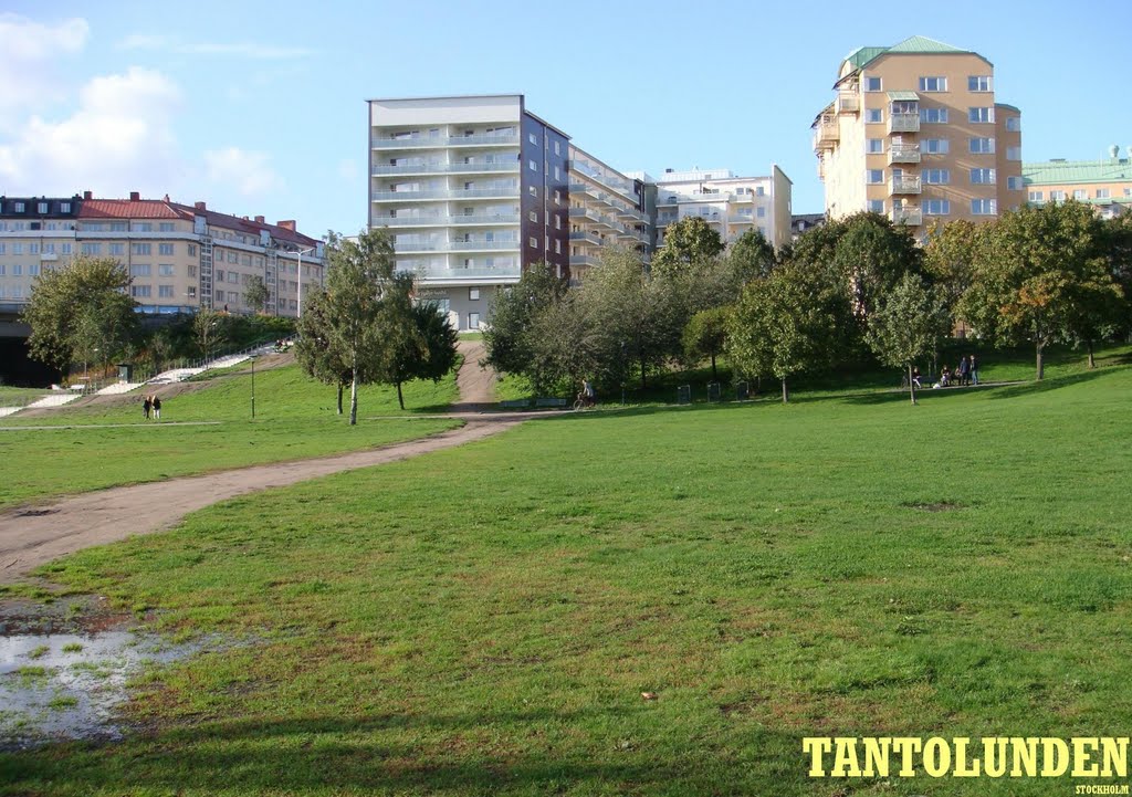 Tantolunden, Stockholm (sept.) by bellinari