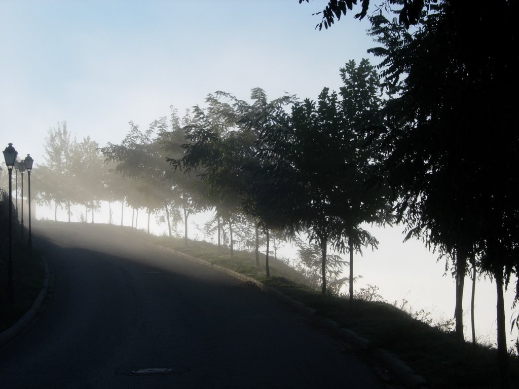 Niebla en Beteta (Cuenca) by Pablo FF