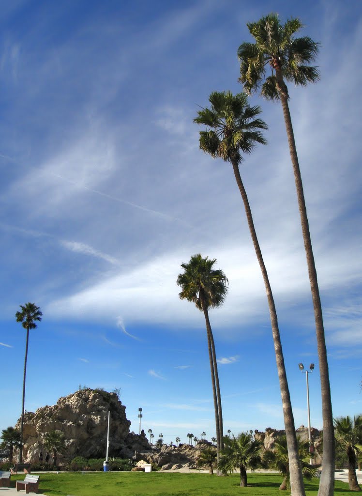 Corona del Mar State Beach by Gregory Dyer