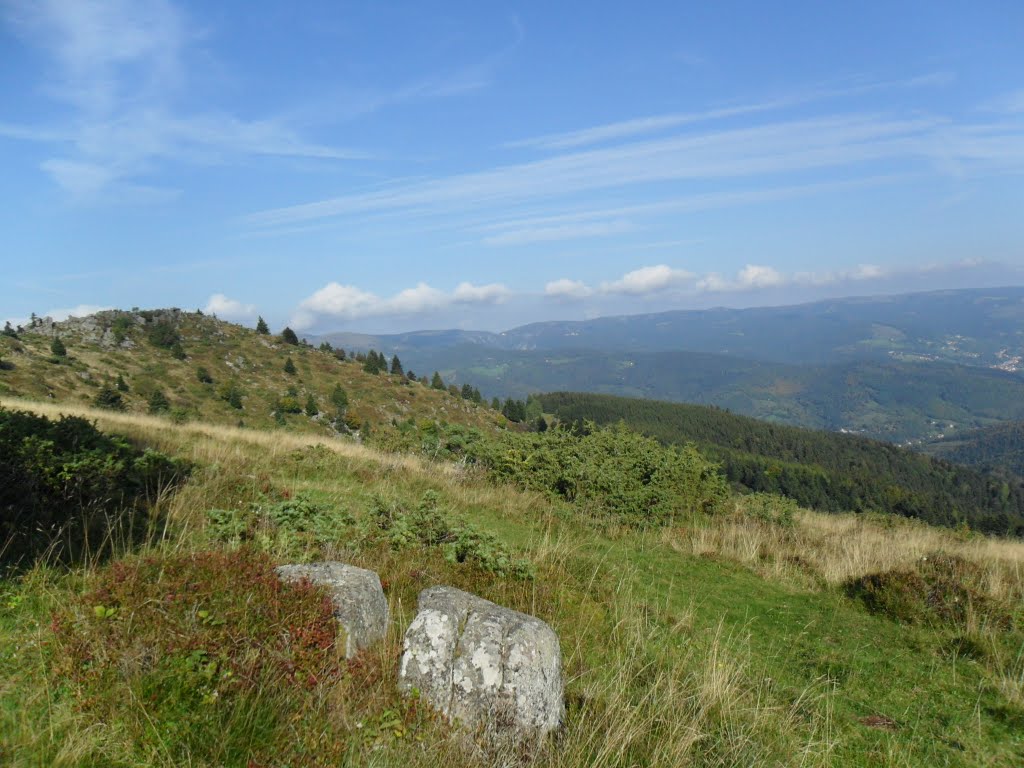 Rund um den Petit Ballon - Vogesen - Elsass by Sehnwirmal