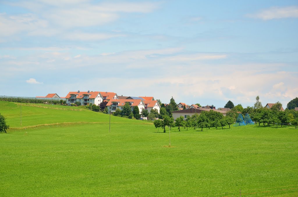 Häggenschwil, Suiza by Joao Abel Goncalves