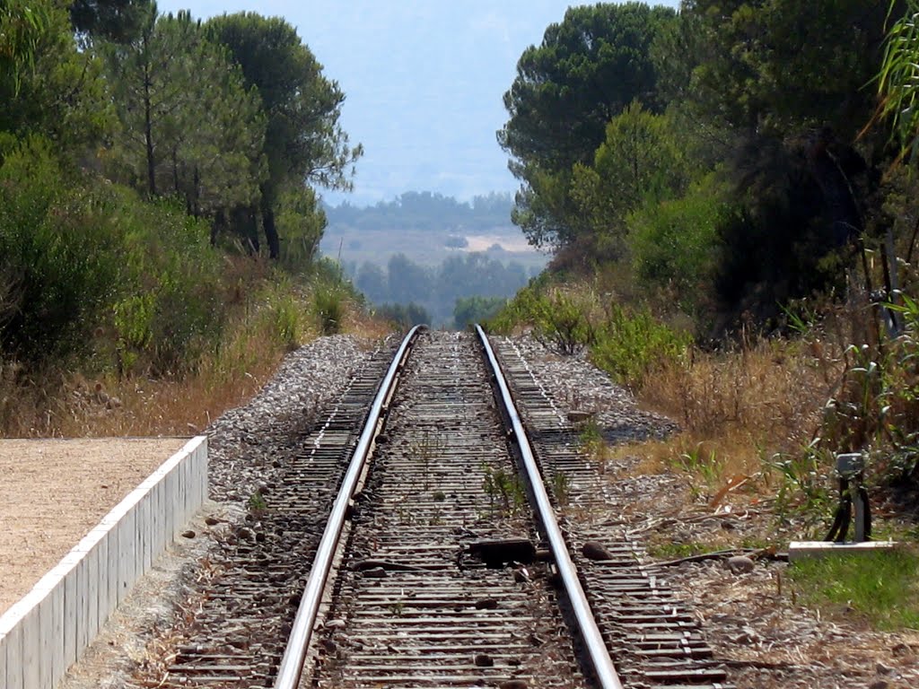 Chemin de fer Calvi, 07 2007 by francois pourageaux