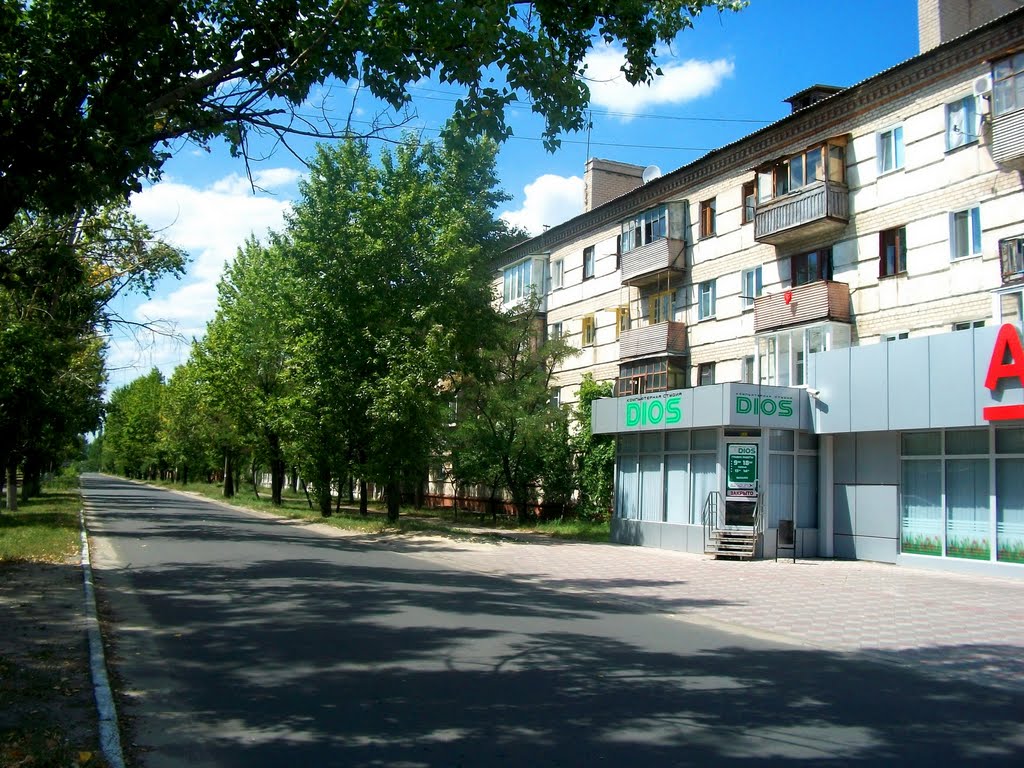 Street in downtown Severodonetsk by Pogromca Gašnič