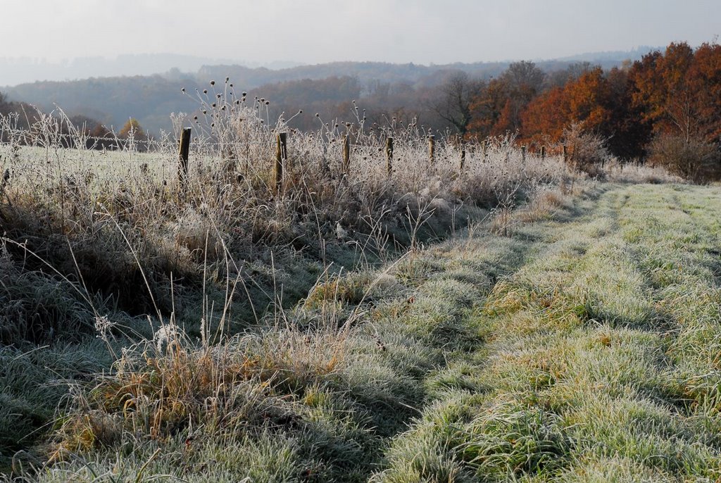 Chemin givré by Michel GIGUET