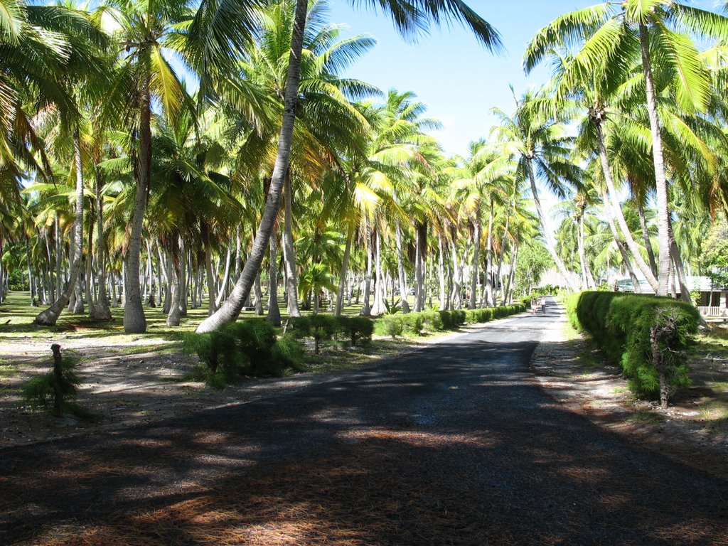 Kia Ora Entrance Road by Jim Carman