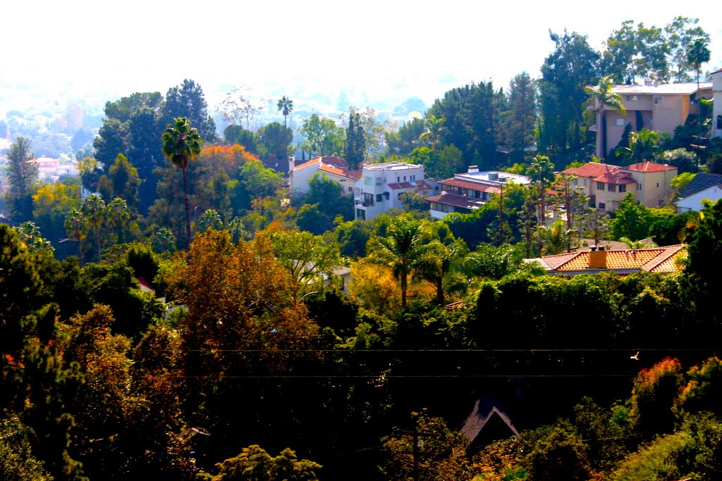 Homes in the Hollywood Hills by MICHAEL  JIROCH  &  www.michaeljiroch.com