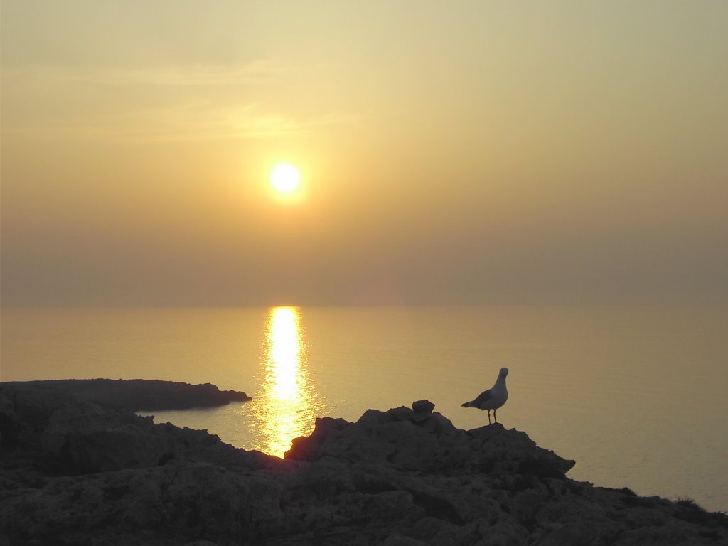 Cap de Cavalleria-Menorca by Imatges, algunes lle…