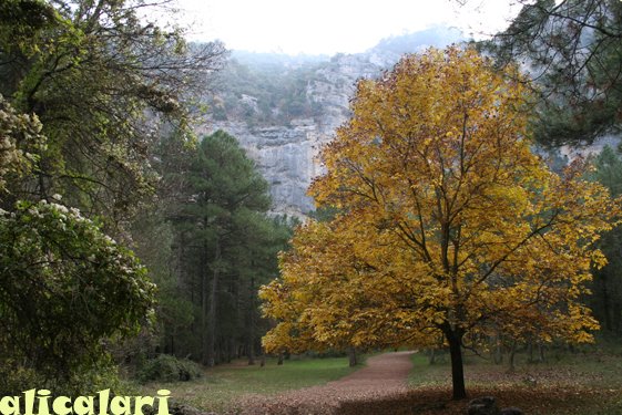 Camino de entrada los chorros by alycalary