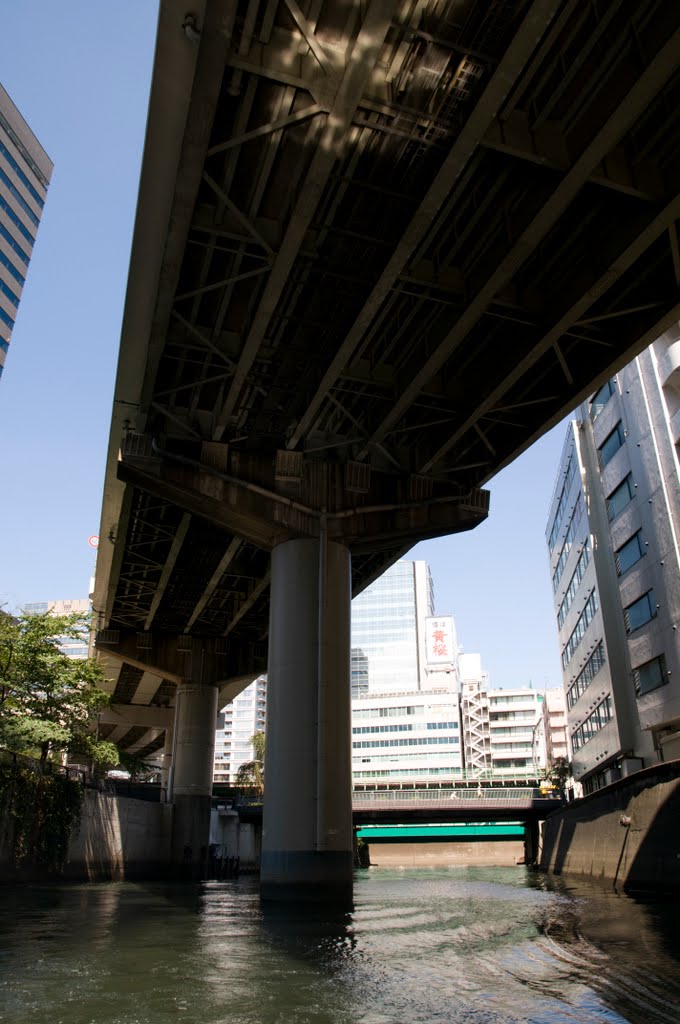 Nihonbashi River / 日本橋川 by Kangoo_