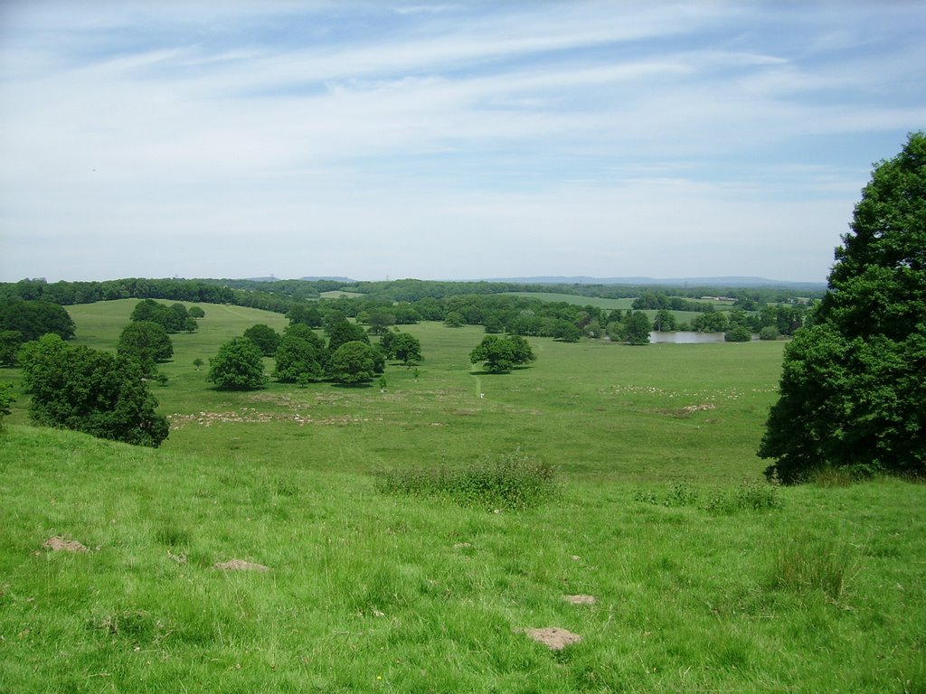 Petworth park by Lordpeterflint