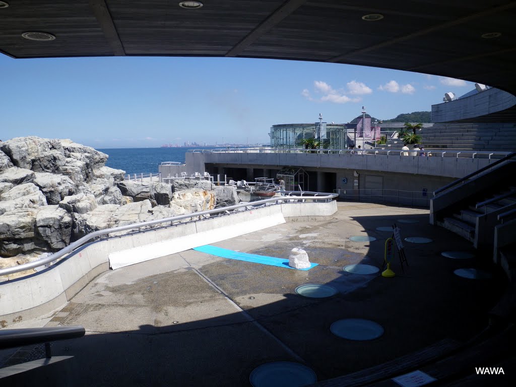 Oita Marine Palace Aquarium Umitamago　大分マリーンパレス水族館「うみたまご」 by mandegan