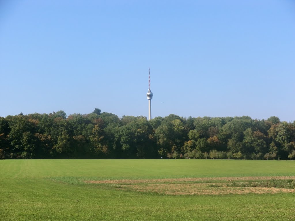 Fernsehturm von Kleinhohenheim aus 24.09.2011 by Kristallkönig der Trübselige