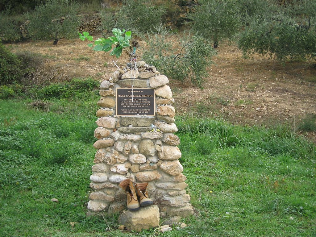 Descanso en el Camino de Santiago by Julio Álvarez