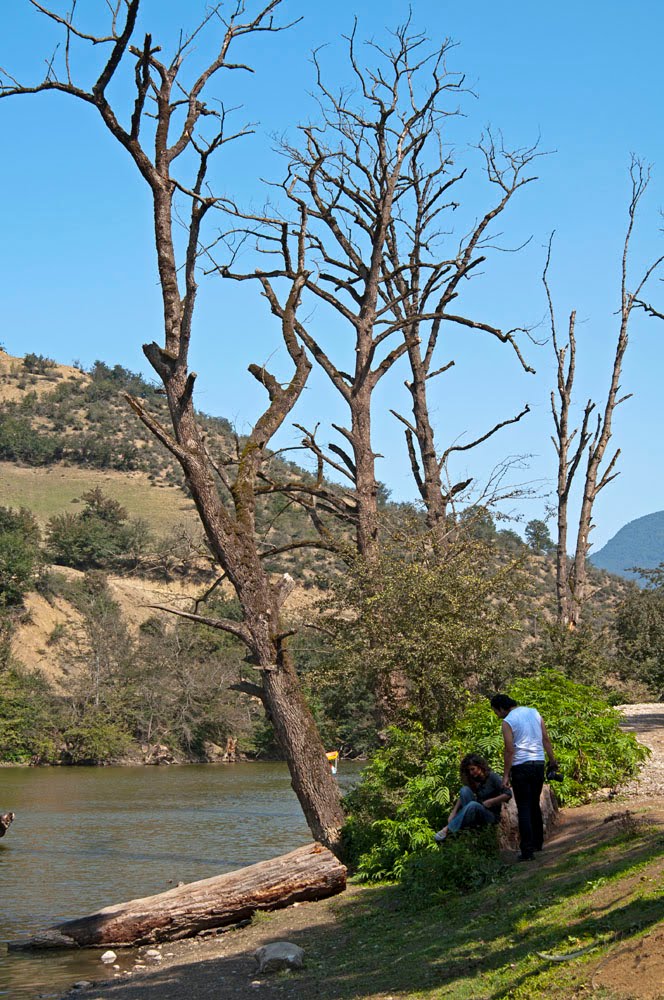 دریاچه شور مست++ Shoor mast lake by Almassi