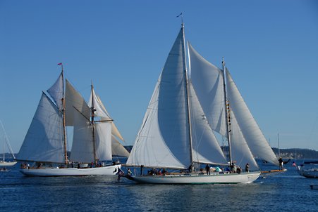 Schooner Race! by Randy Seton