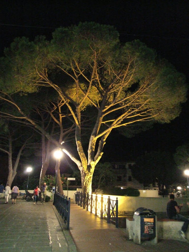 Marina di Campo by Night by Pompelmo