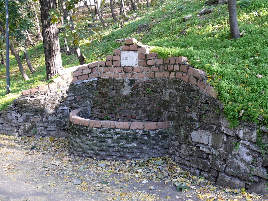 Era la fontanella del Monte Stella by ©Luigi Petrazzoli