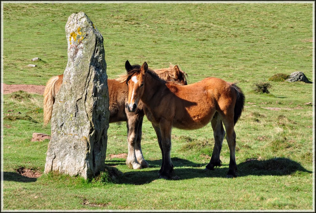 Menhir y caballos II by EpMartín ☼