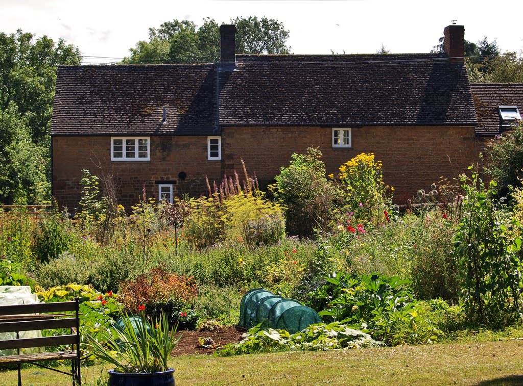 Allotments in the centre of Wigginton, North Oxfordshire by andrewsbrown