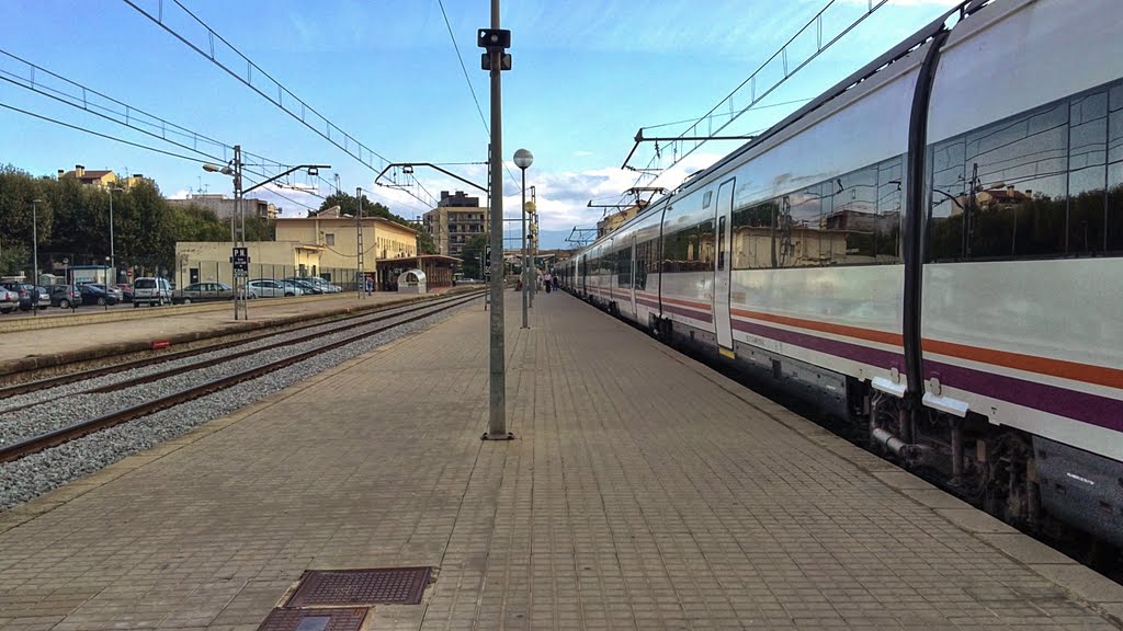 Estación de Figueres. by saraui