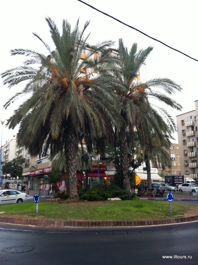 Holon, Israel, 2011 by iltours