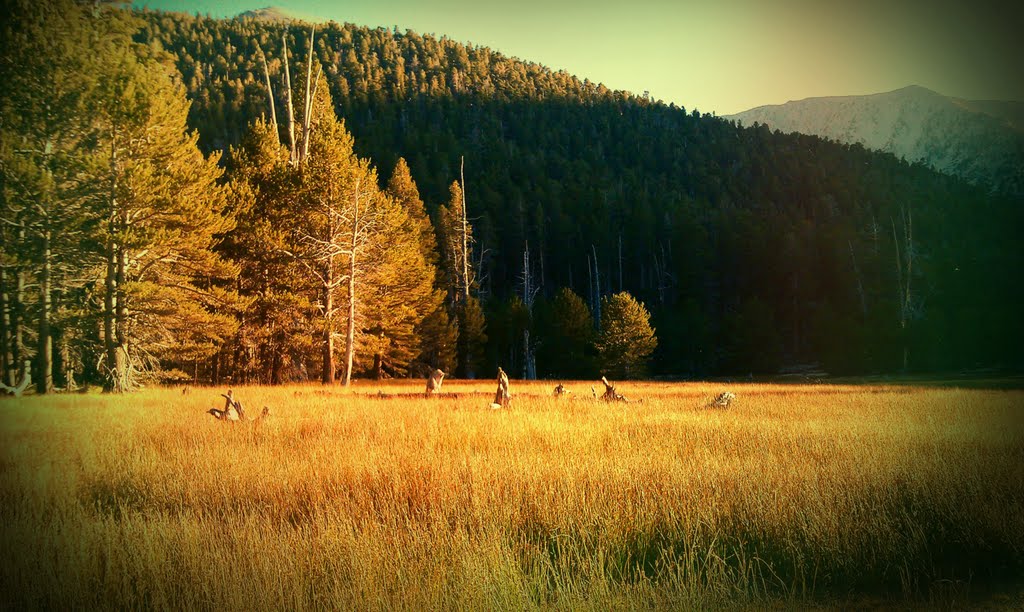 Last weekend of Summer, Dry Lake - 9/17/2011 by Russell Stippey