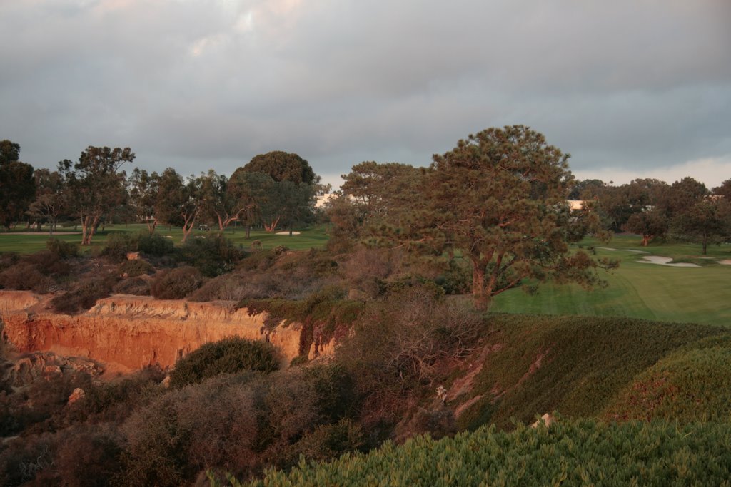 Sunset at Torrey Pines Golf Court by hnuecke