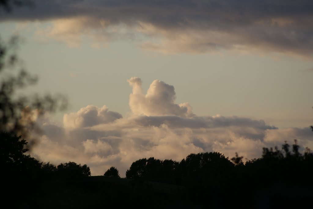 Bird in clouds by Alex Phimister