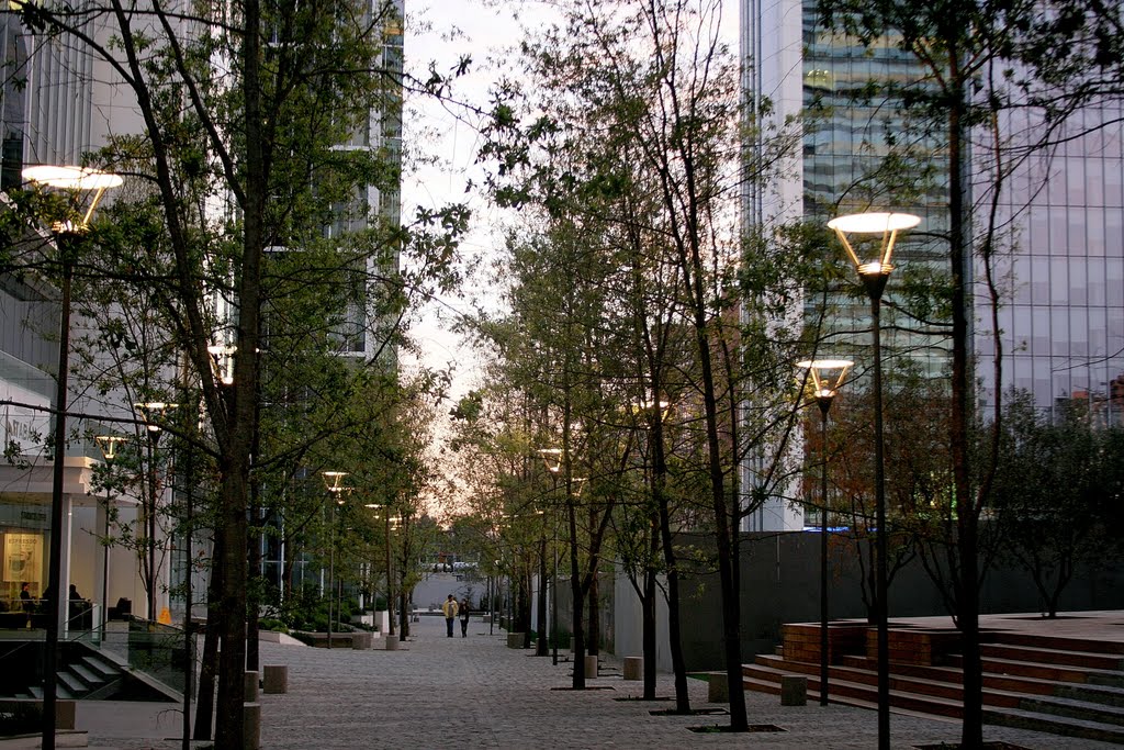 Paseo por arboleda en el atardecer,Santiago Chile by Luis Enrique Fritz