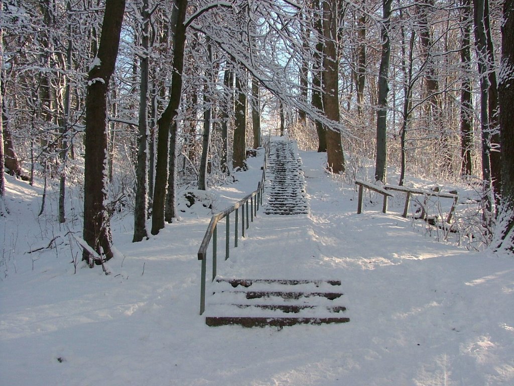 Leutkirch Aufstieg zur Willhelmshöhe by Richard Mayer