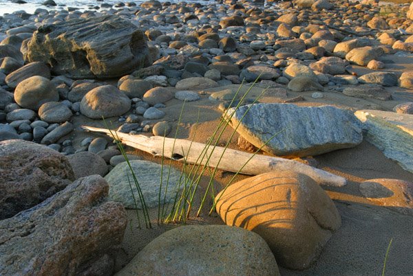 Awenda 4th Beach by Gord Handley