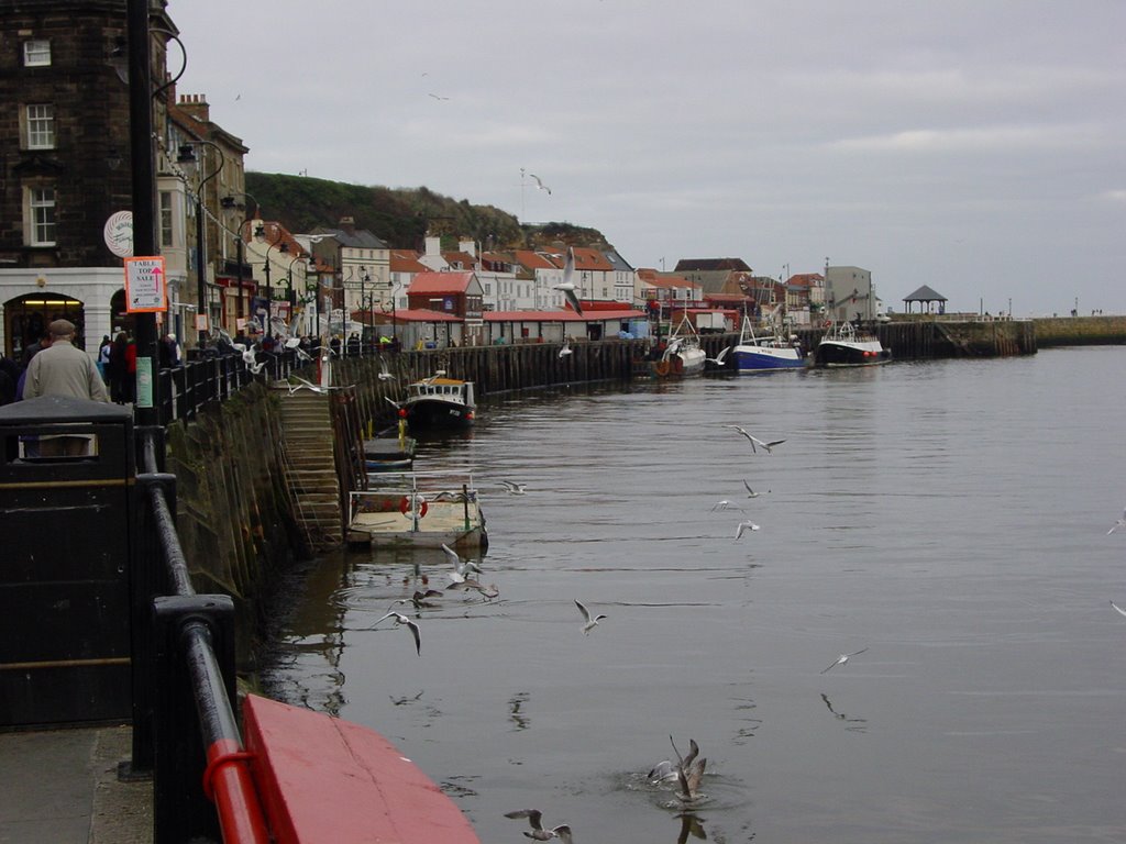 Whitby Harbour by Quartus Snyman