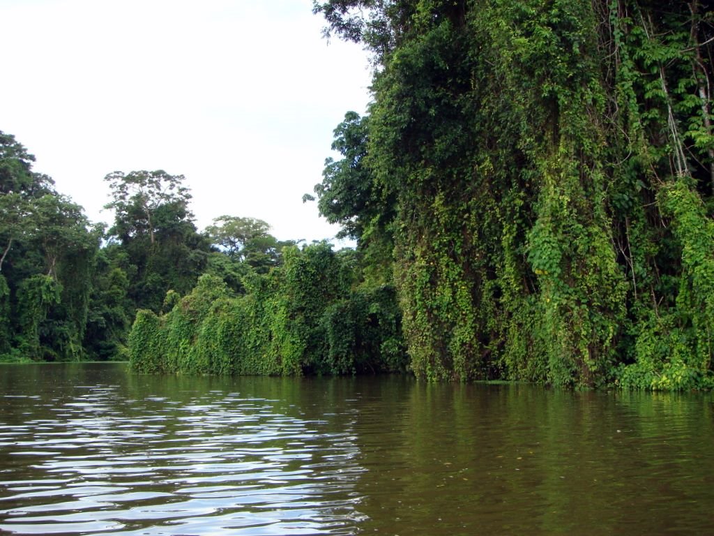 COSTA RICA Canales del Parque Nacional de Tortuguero by Talavan