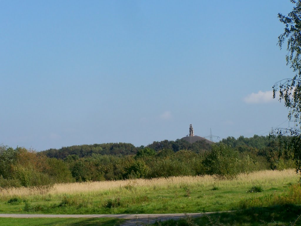 Blick auf die Himmelstreppe by Jawi90