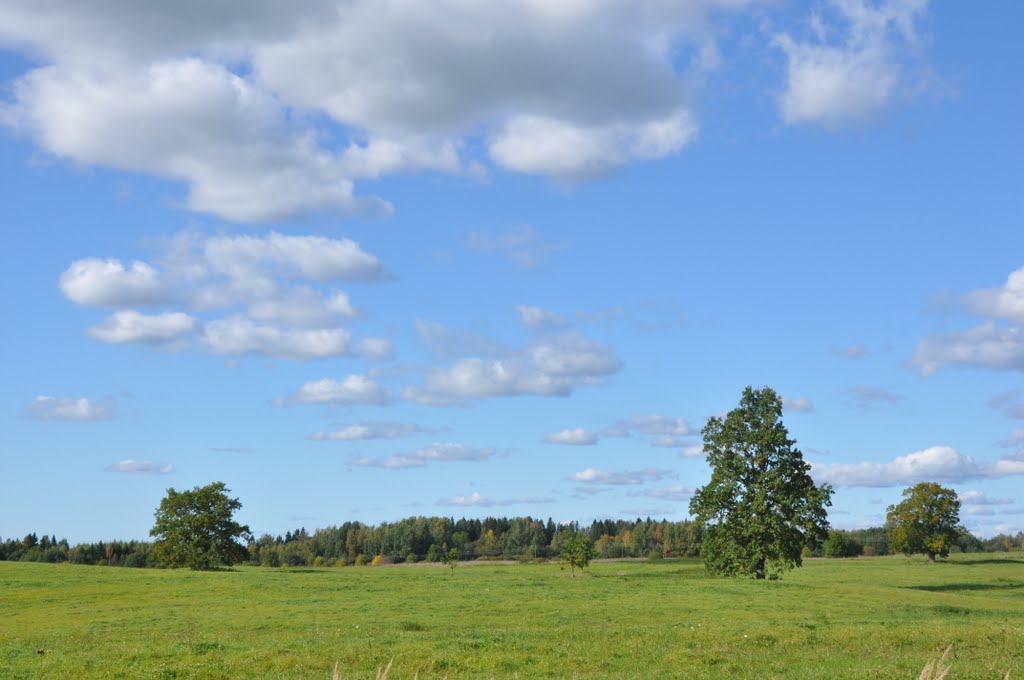 Lauks ar ozoliem pie Zaubes, Zaubes pagasts, Amatas novads, Latvia by M.Strīķis