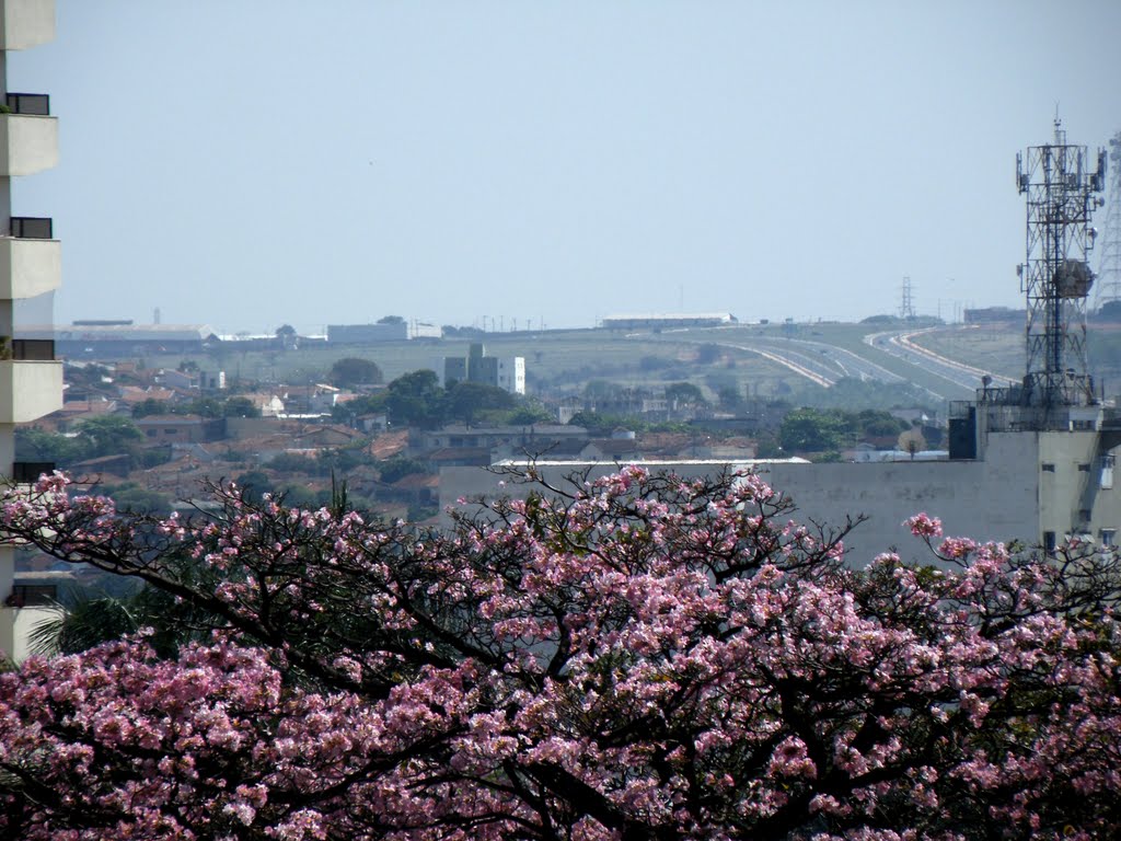 Av.Nações Norte vista da Nações Unidas - Bauru/SP by Julio F Almeida